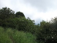 Monte Zoccolaro